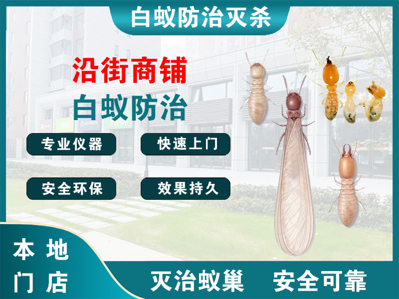 嘉定区沿街商铺白蚁防治