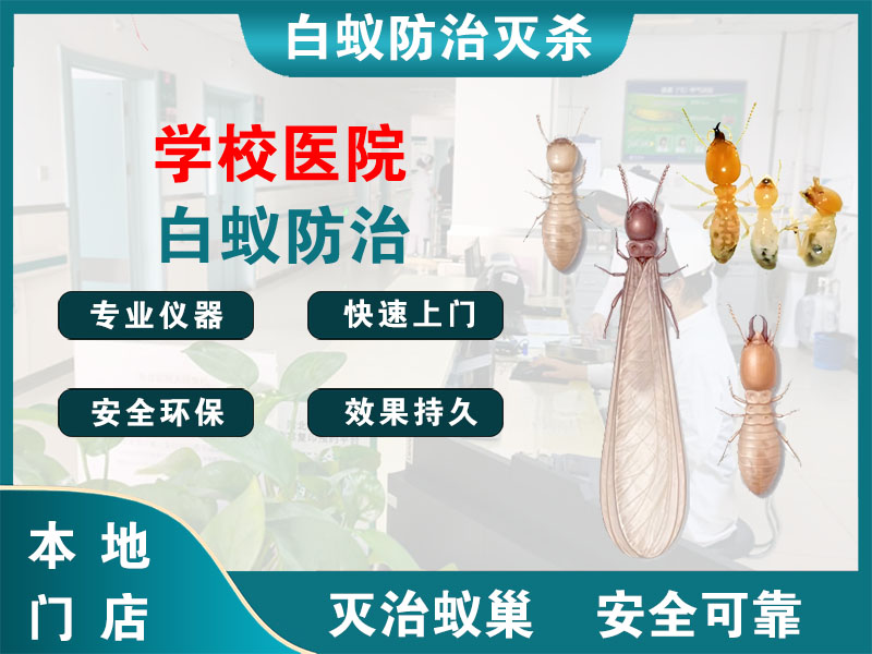 嘉定区学校医院白蚁防治