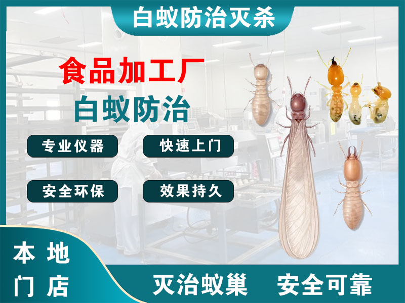 嘉定区食品加工厂白蚁防治