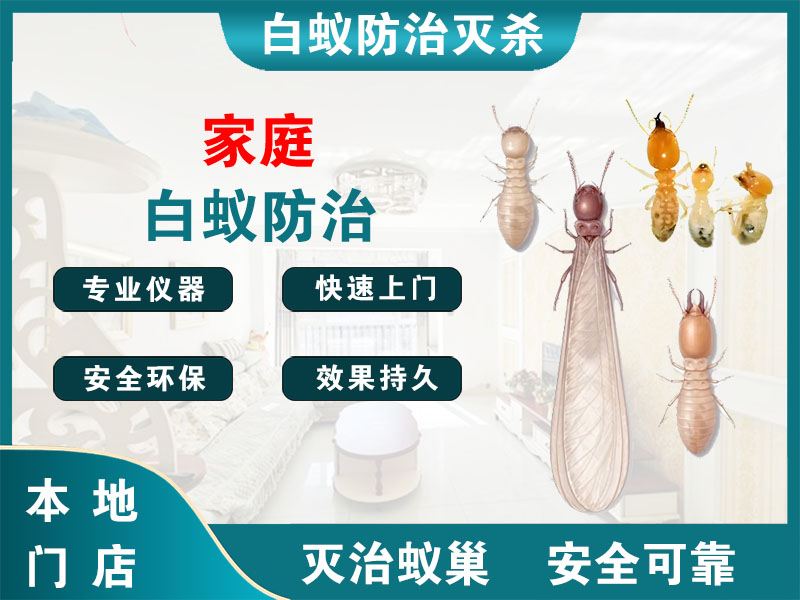 嘉定区家庭白蚁防治