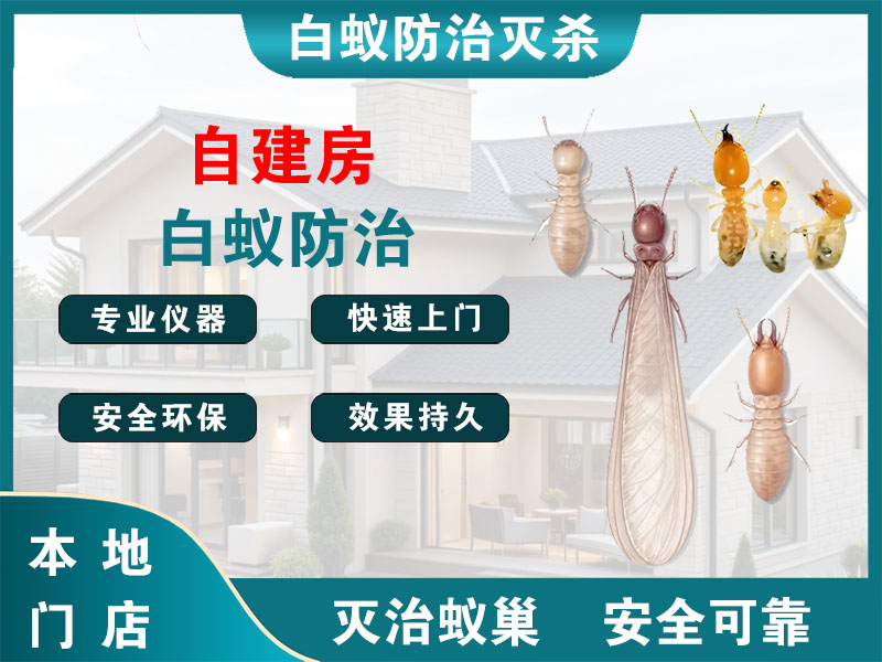 嘉定区自建房白蚁防治