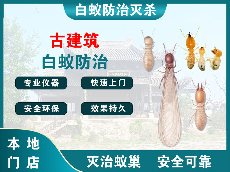 嘉定区古建筑白蚁防治
