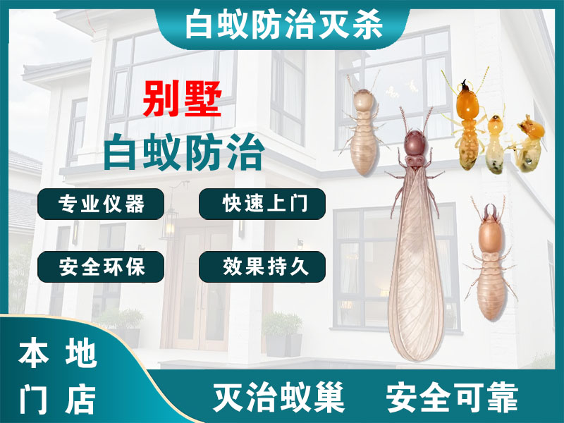 嘉定区别墅白蚁防治