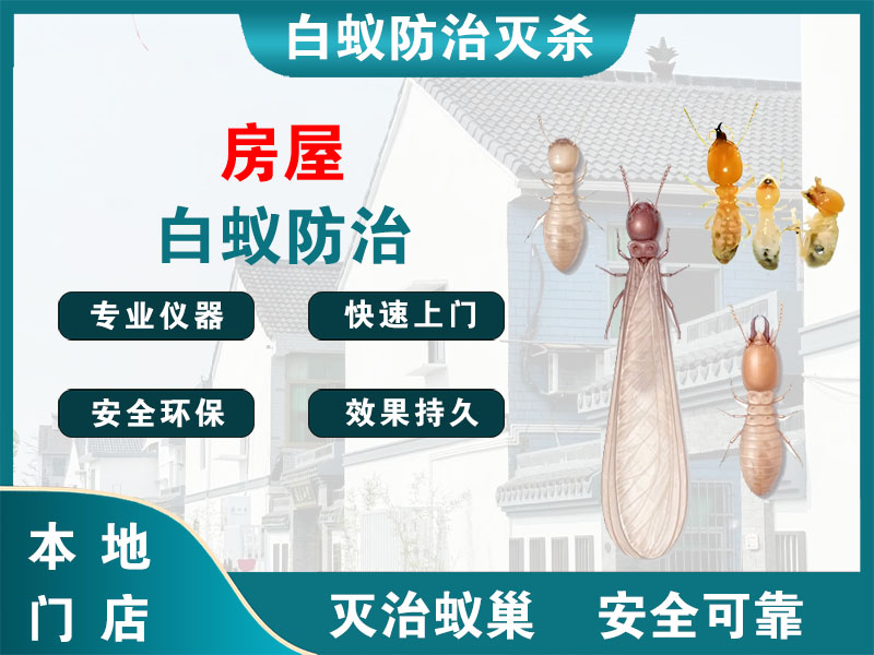 嘉定区房屋白蚁防治